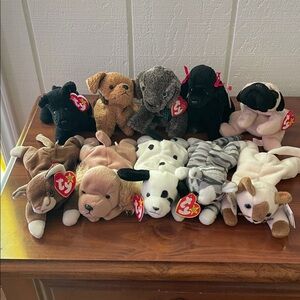 Beanie Babies Cats and Dogs Bundle